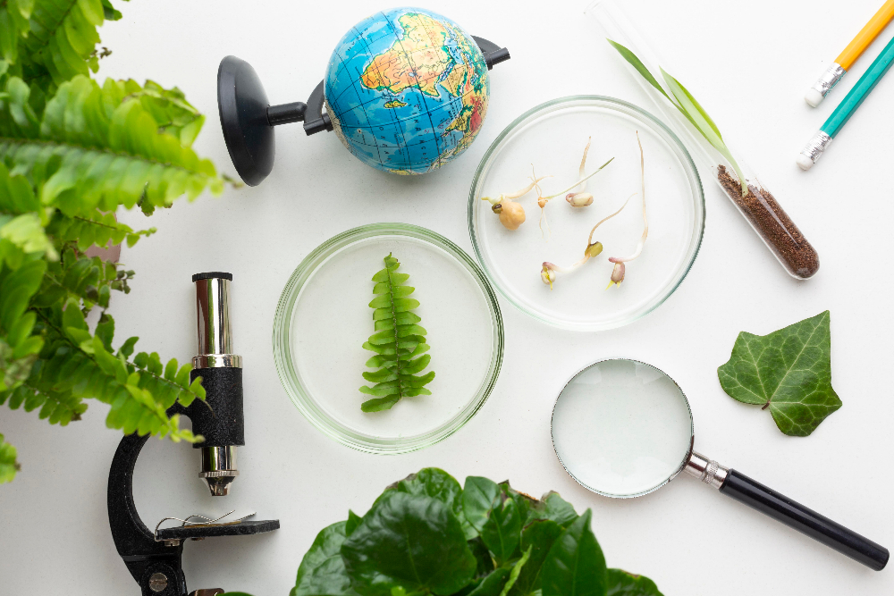 Rezultati početne i završne evaluacije učenika sudionika mobilnosti