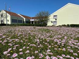 Obavijest za rad škole